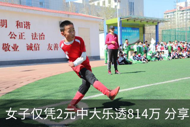 女子仅凭2元中大乐透814万 分享中奖秘诀-图